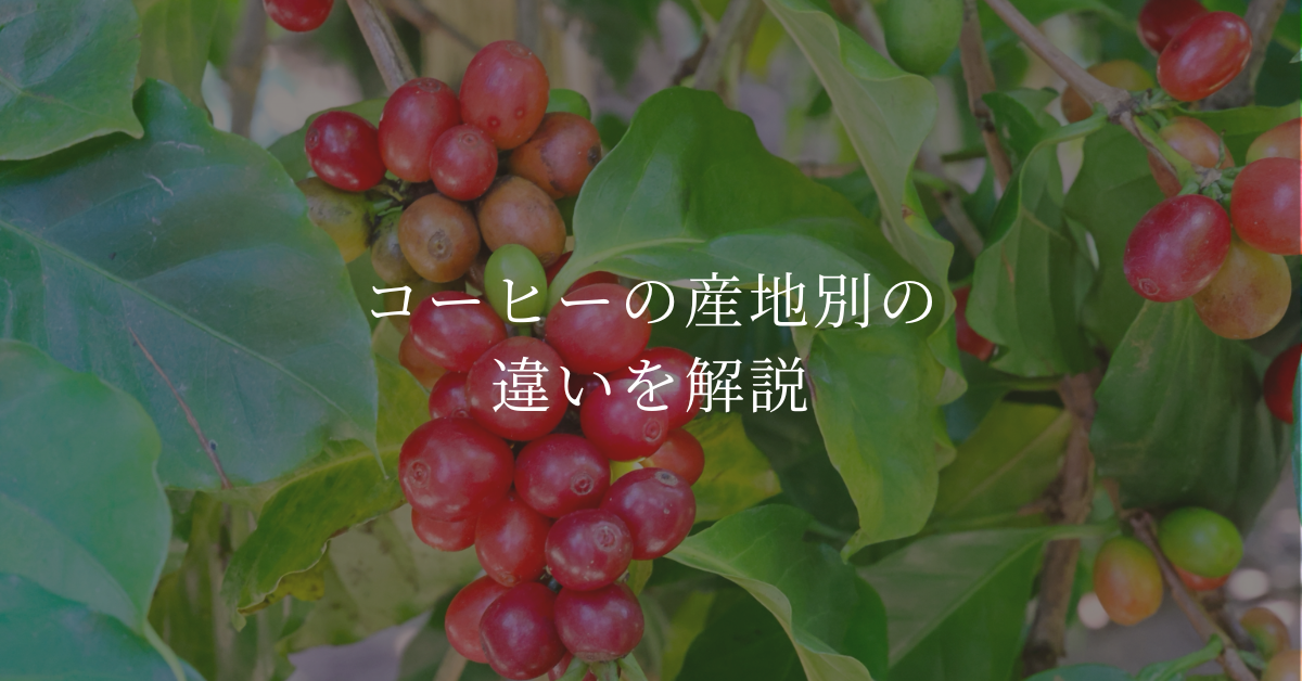コーヒーの産地別の違いを解説